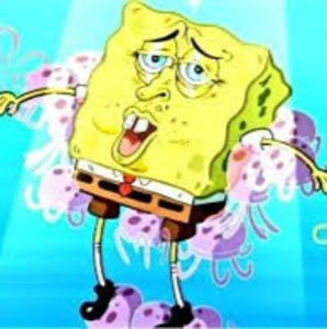 Meet your Posher, Rustan